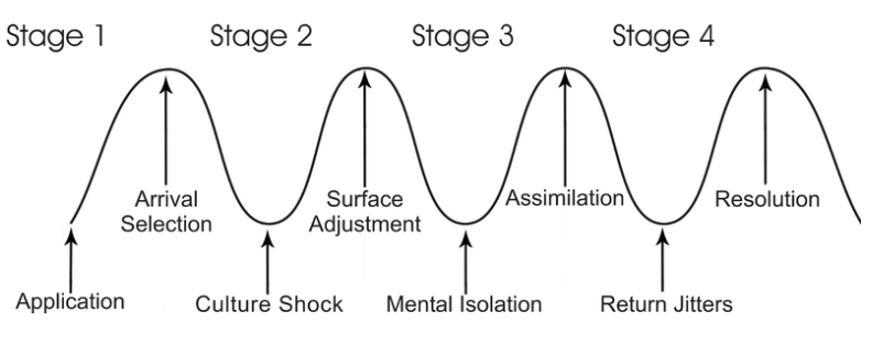 Cultural_Adjustment_Cycle_graphic.png